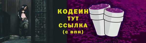 дурь Пестово