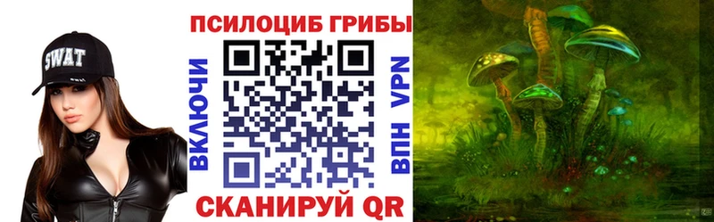 где купить наркоту  Артём  Псилоцибиновые грибы мицелий 